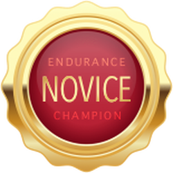 Novice Endurance Champion